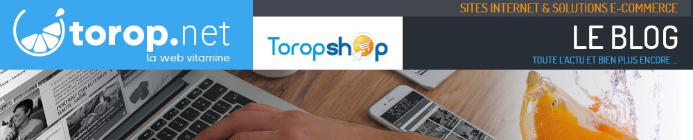 Agence web Torop.net : le Blog